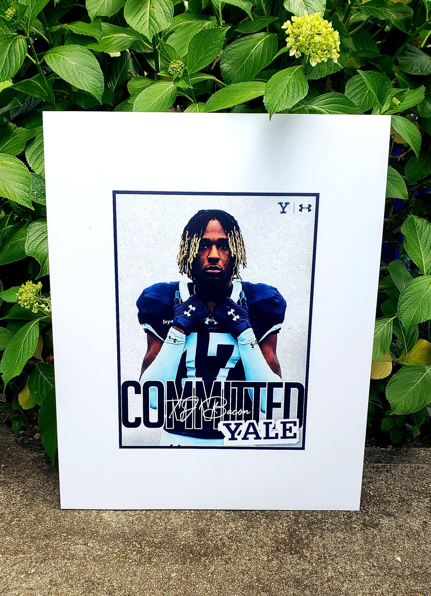 UV PRINTED  FOAMBOARD SIGNS
